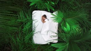 Sleeping soundly with nature in Kbamboo bed linen