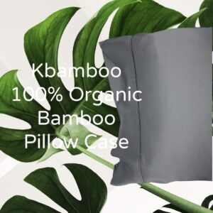 organic grey bamboo pillow cases 1