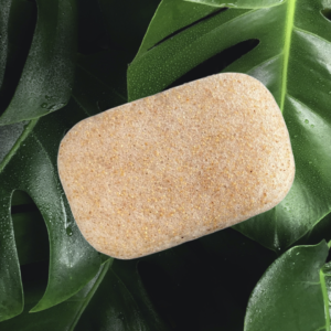 konjac body sponge