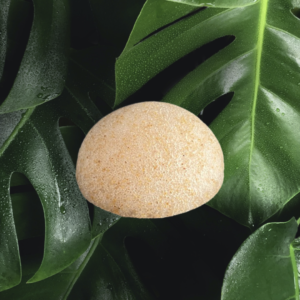 Konjac face sponge