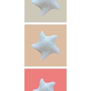 Pure konjac star sponge